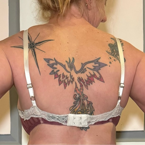 *RARE* Elle Macpherson Sheer Cerise Stripe Unlined Underwire Bra - Picture 7 of 11